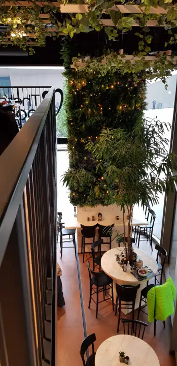 Piante artificiali per ristoranti, bar e locali – foto 5