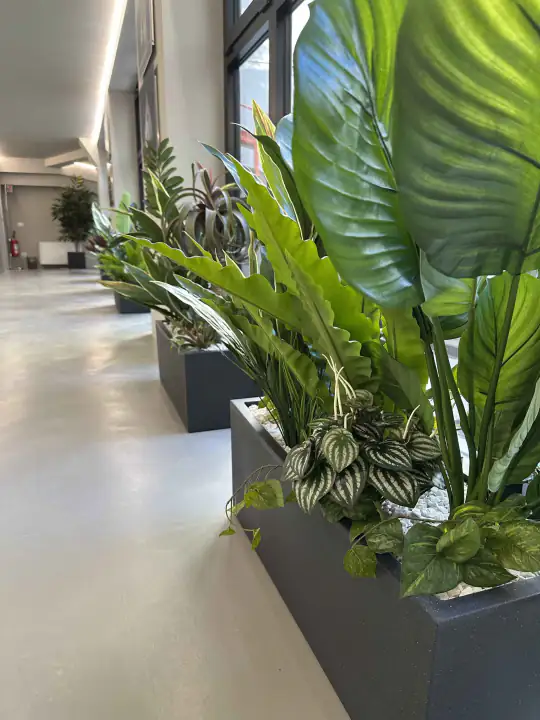 Piante artificiali in ufficio – foto 4