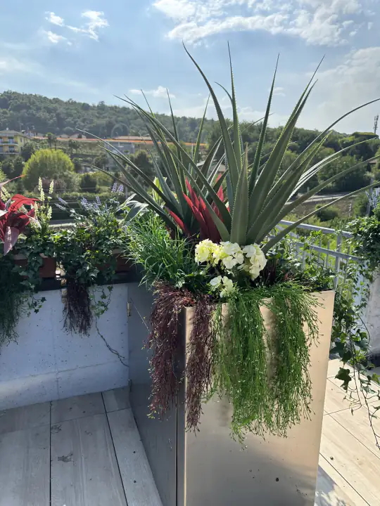 Fioriere con piante artificiali sul parapetto della terrazza panoramica