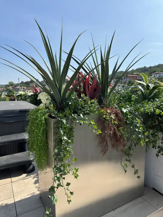 Il verde che sembra vero – foto 5