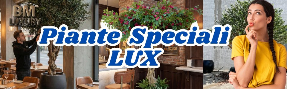 Piante speciali LUX