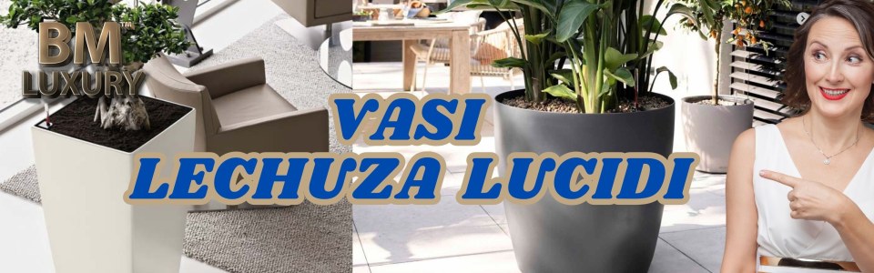Vasi Lechuza